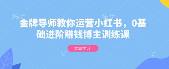 金牌导师教你运营小红书，0基础进阶赚钱博主训练课云云学社-专注分享网络创业落地实操课程 – 全网首发_高质量项目输出云云学社