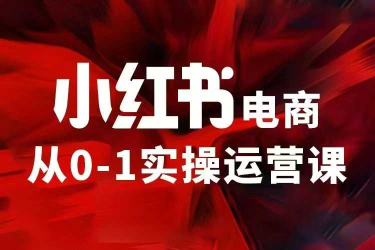 小红书电商运营，97节小红书vip内部课，带你实现小红书赚钱云云学社-专注分享网络创业落地实操课程 – 全网首发_高质量项目输出云云学社