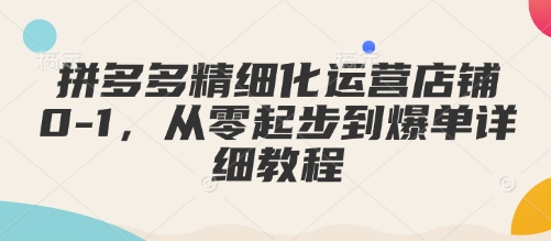 拼多多精细化运营店铺0-1，从零起步到爆单详细教程云云学社-专注分享网络创业落地实操课程 – 全网首发_高质量项目输出云云学社